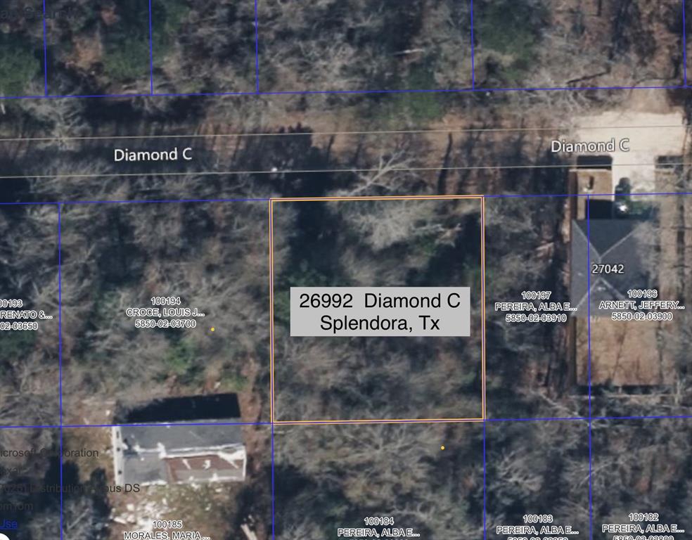26992 Diamond C, Montgomery, Texas image 5
