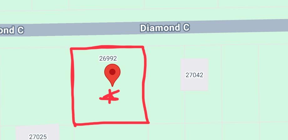 26992 Diamond C, Montgomery, Texas image 6