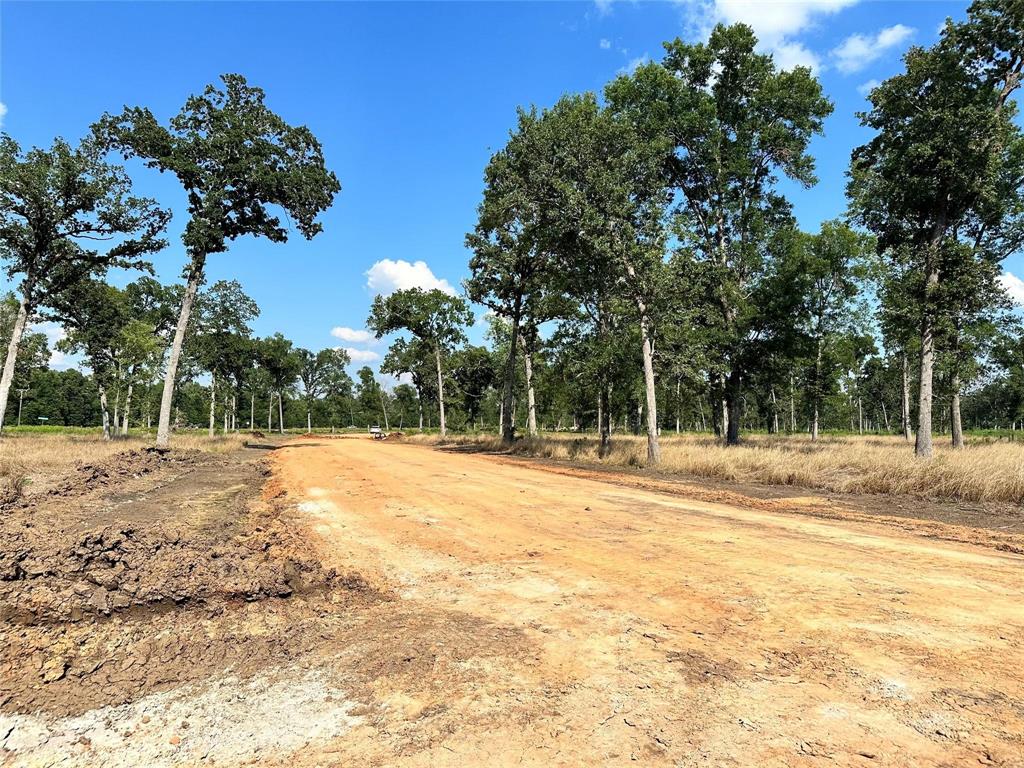 Lot 19 Island View Ranch, Livingston, Texas image 4
