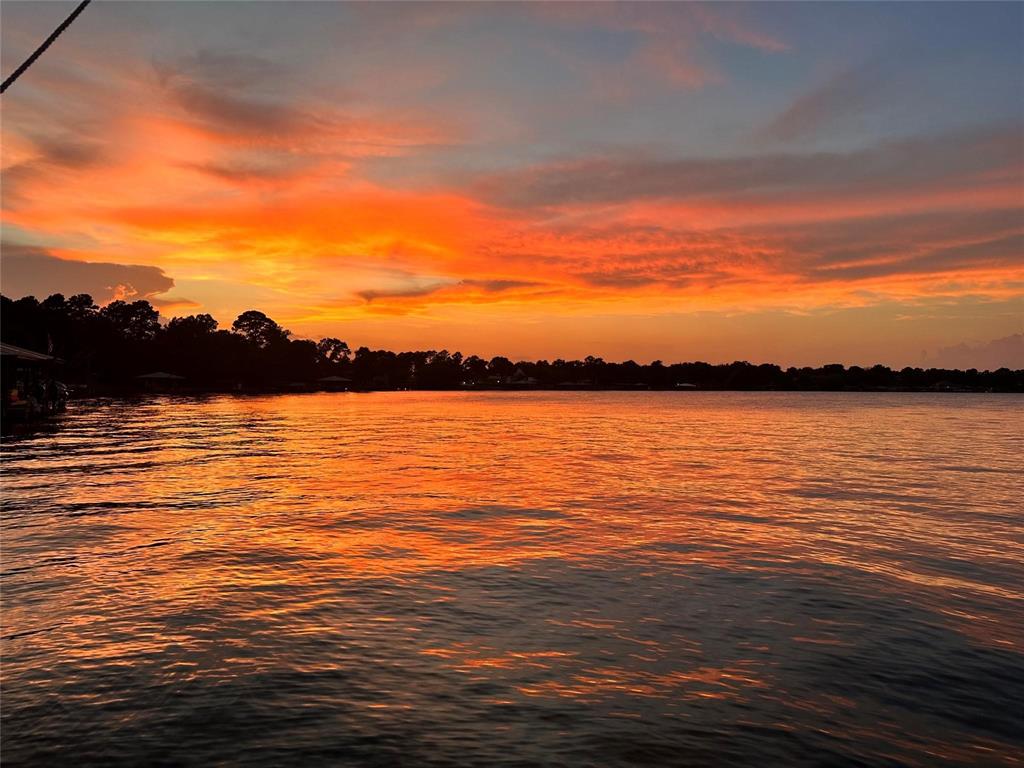 Lot 19 Island View Ranch, Livingston, Texas image 8