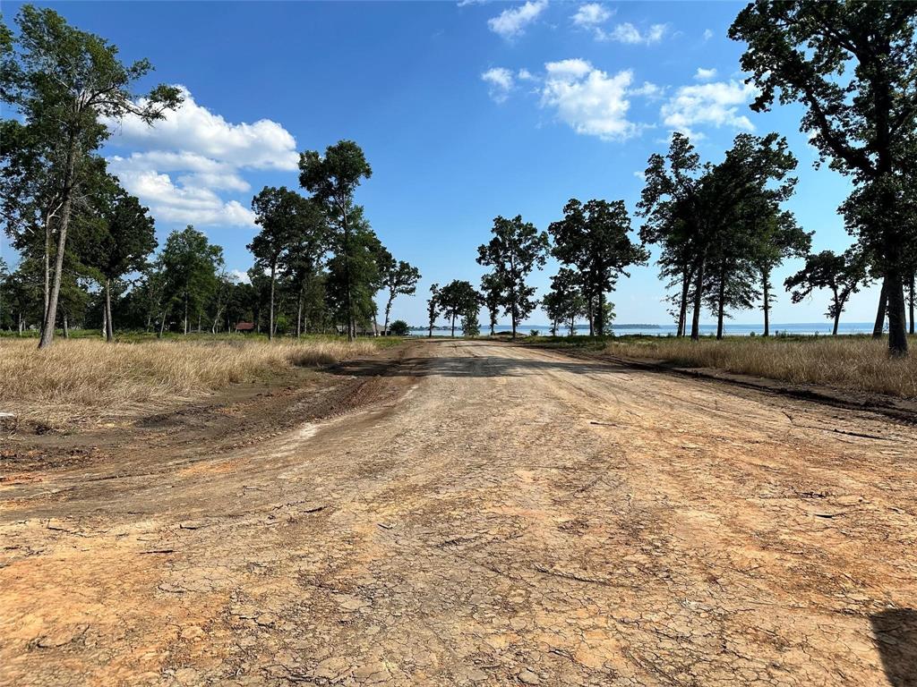 Lot 19 Island View Ranch, Livingston, Texas image 5