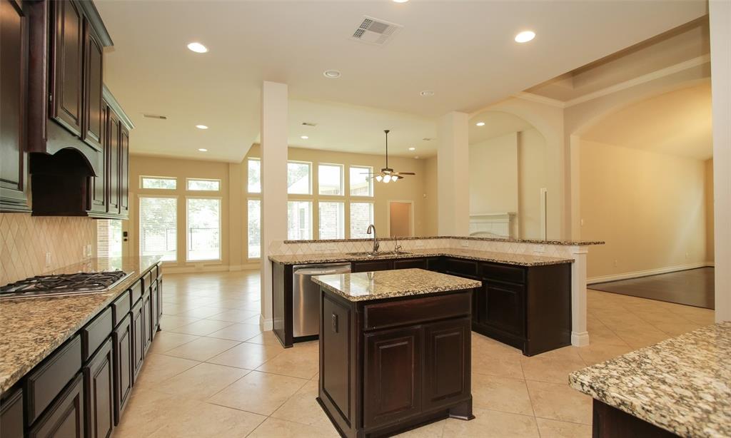 12310 Bluff Haven Lane, Cypress, Texas image 14