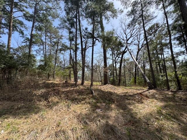 312 Waterview Drive, Trinity, Texas image 2
