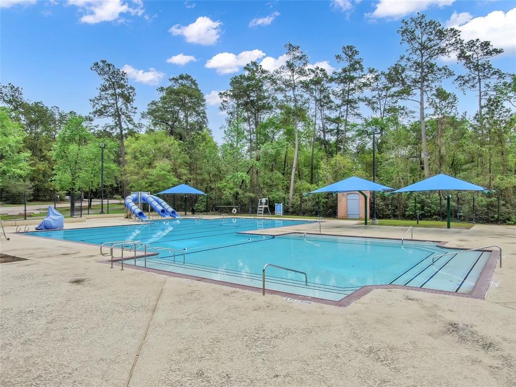 10 Hollylaurel Drive, The Woodlands, Texas image 33