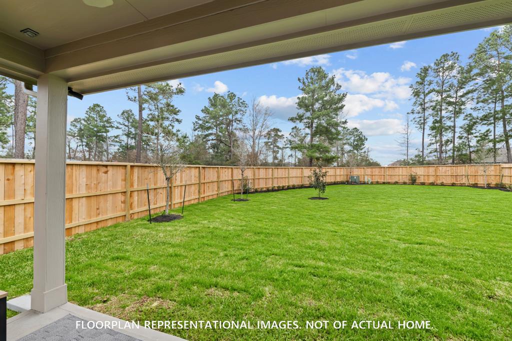 114 Spring Rose Drive, Magnolia, Texas image 18