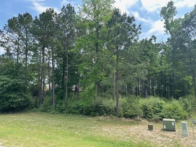 11584 Kirstens Ct, Ct, Montgomery, Texas image 3