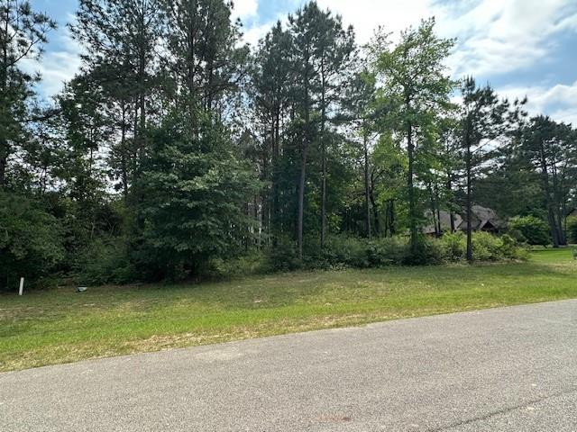 11584 Kirstens Ct, Ct, Montgomery, Texas image 5