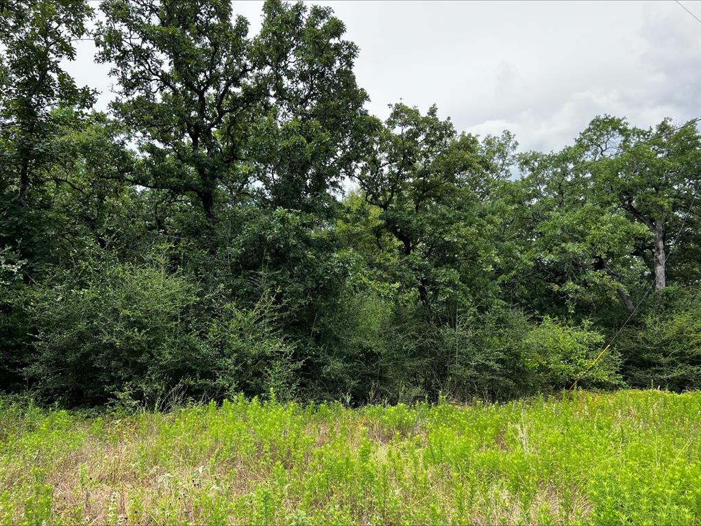 1518 County Rd 1464, Centerville, Texas image 3