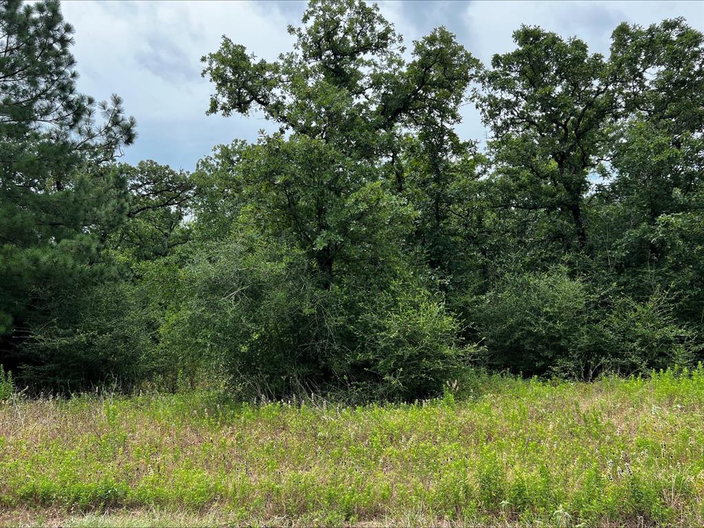 1518 County Rd 1464, Centerville, Texas image 2