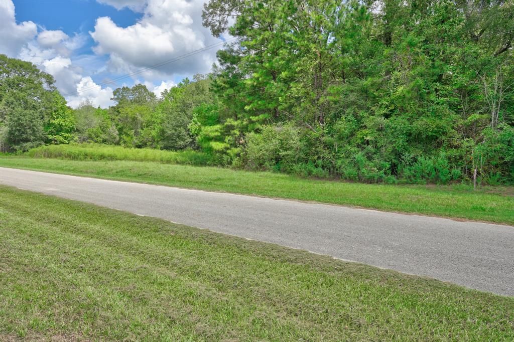 Photo of 21699 Carol Road, New Caney, TX 77357 (MLS # 77849599)