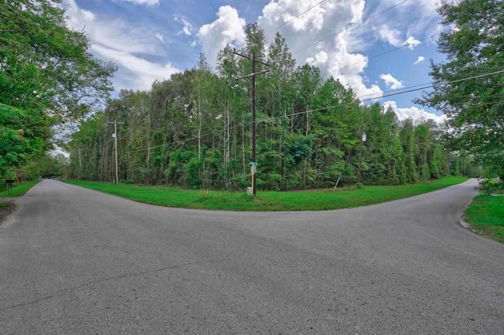 Photo of 21699 Carol Road, New Caney, TX 77357 (MLS # 77849599)