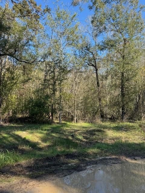 Photo of 412 Cherokee Forest Lane, Livingston, TX 77351 (MLS # 48178994)