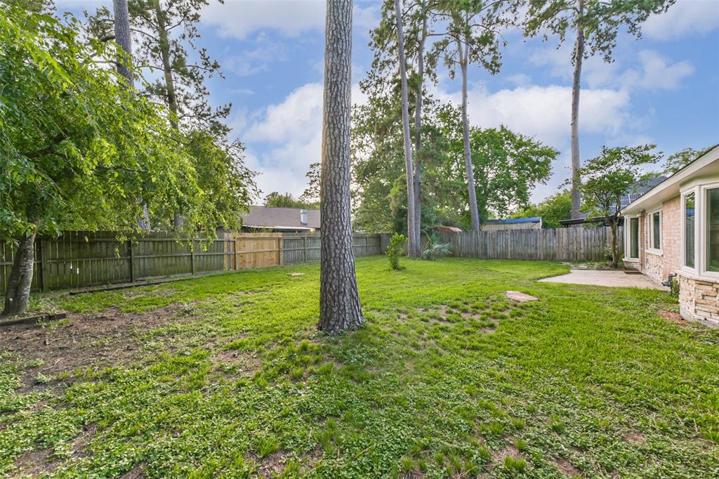 23011 Grand Rapids Lane, Spring, Texas image 33