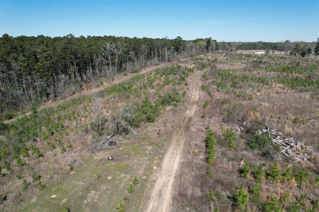 TBD East Hwy 59, Marshall, Texas image 31