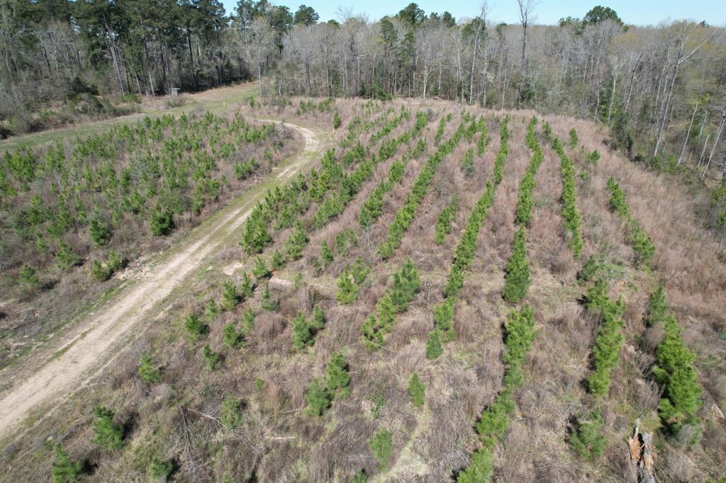 TBD East Hwy 59, Marshall, Texas image 23