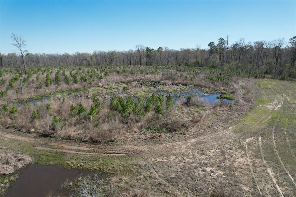 TBD East Hwy 59, Marshall, Texas image 30