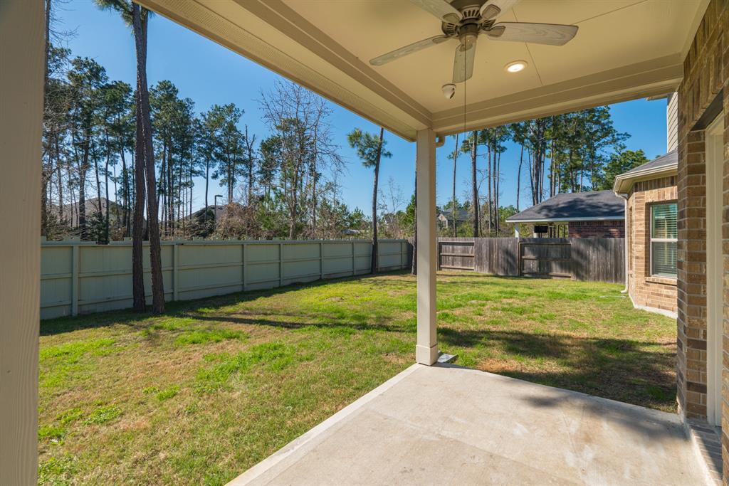 17116 Coneflower Place, Conroe, Texas image 38