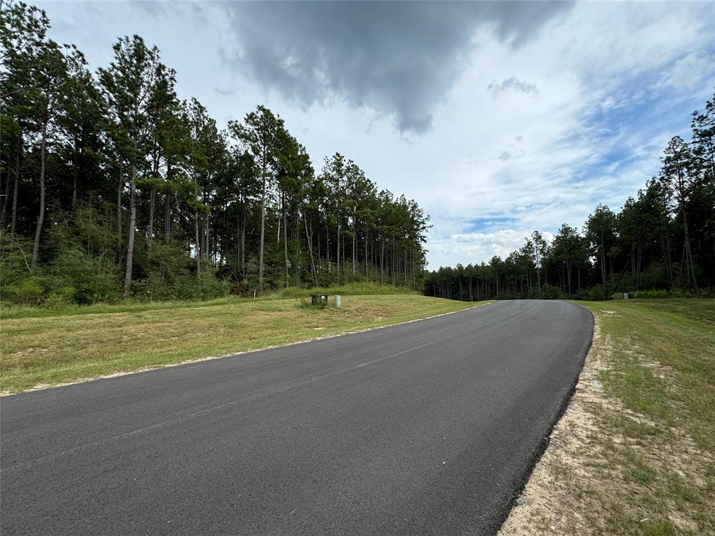 15334 Forest Grove Drive, Willis, Texas image 9