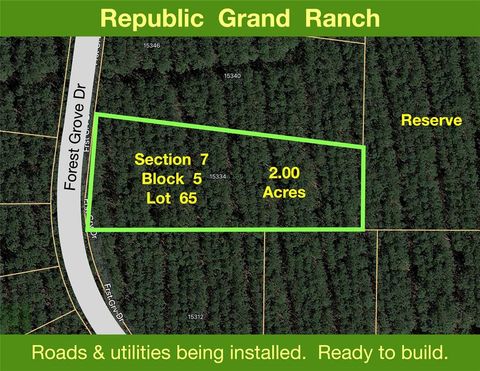 15334 Forest Grove Drive Willis TX 77378