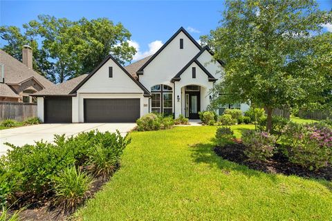 108 Verdancia Park Court Conroe TX 77318