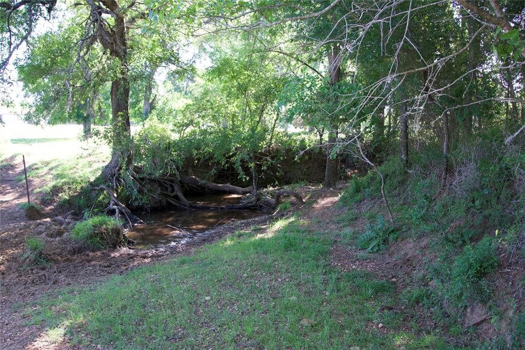 1010 St Delight Road, Paige, Texas image 19