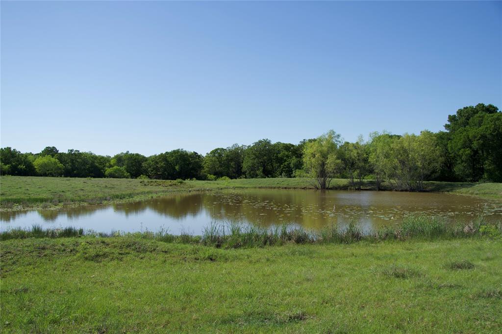 1010 St Delight Road, Paige, Texas image 20