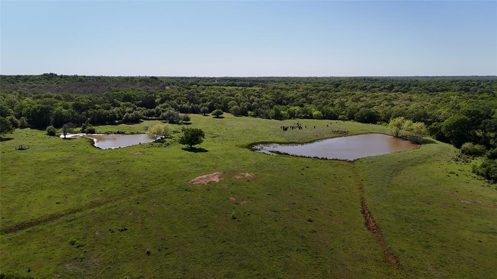 1010 St Delight Road, Paige, Texas image 13