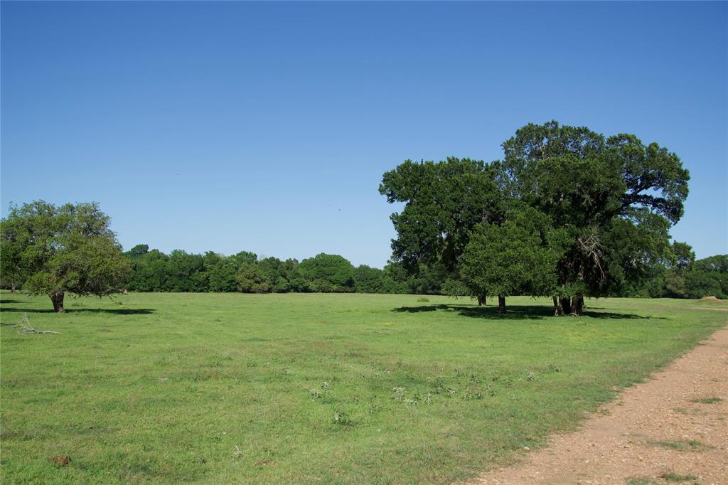 1010 St Delight Road, Paige, Texas image 15