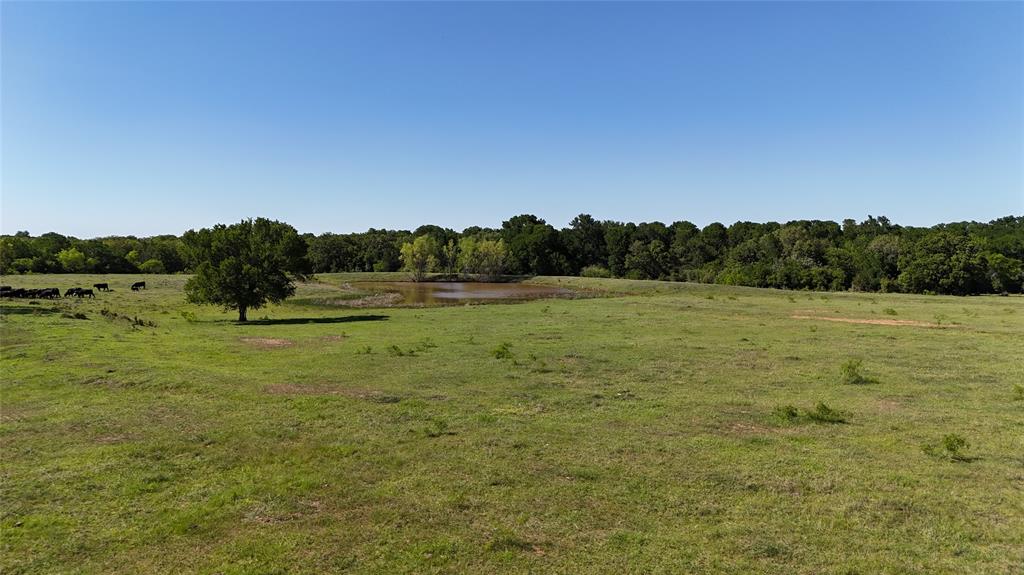 1010 St Delight Road, Paige, Texas image 12
