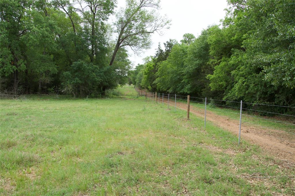 1010 St Delight Road, Paige, Texas image 16