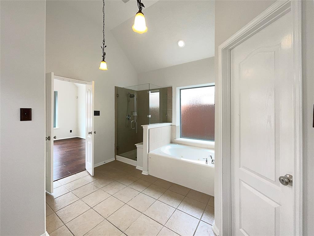 3306 Cactus Heights Lane, Pearland, Texas image 19