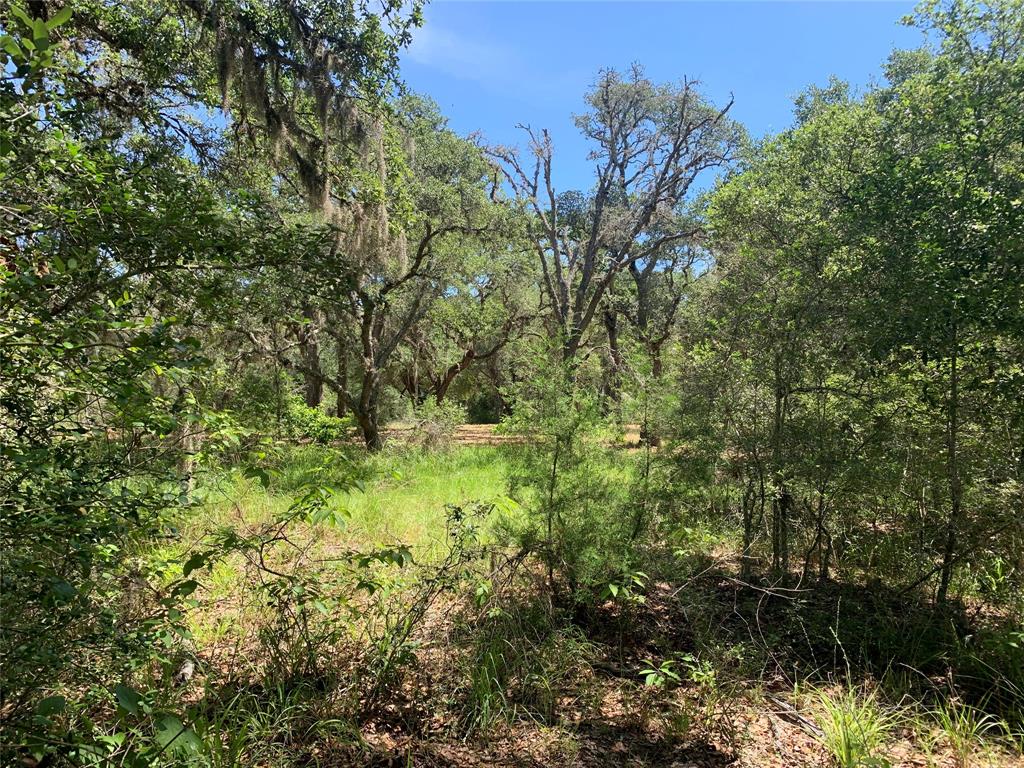 TBD1 Private Road 1581, Hallettsville, Texas image 6