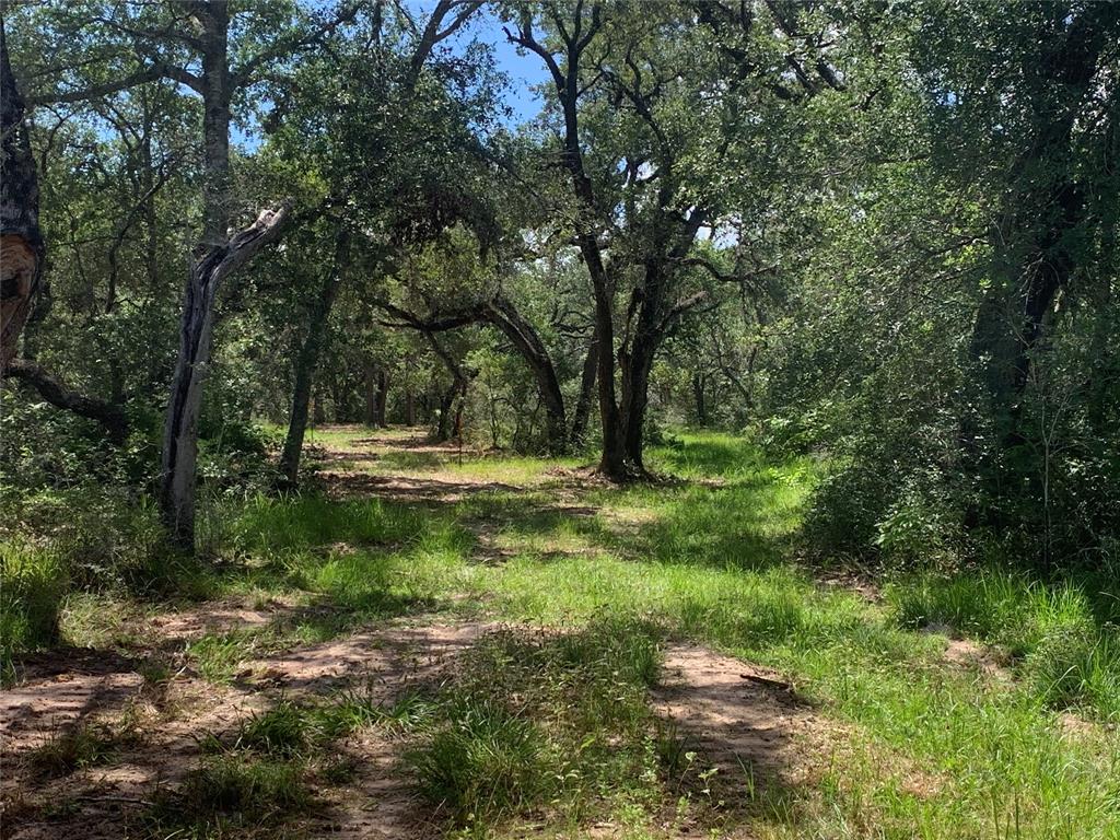 TBD1 Private Road 1581, Hallettsville, Texas image 1