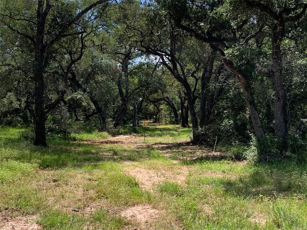 TBD1 Private Road 1581, Hallettsville, Texas image 7