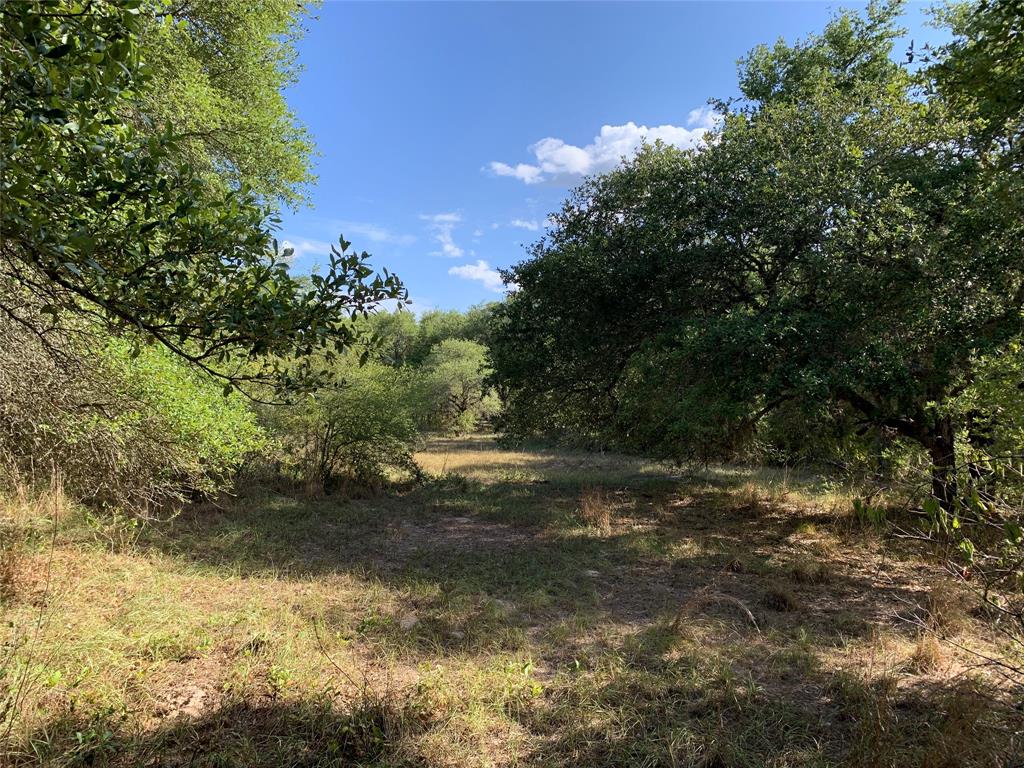 TBD1 Private Road 1581, Hallettsville, Texas image 18