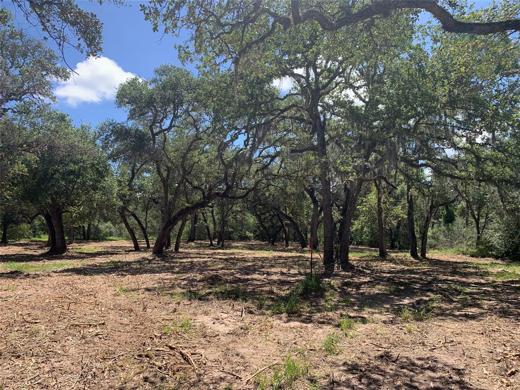 TBD1 Private Road 1581, Hallettsville, Texas image 8