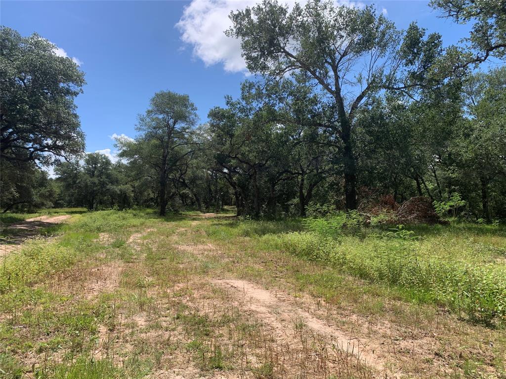 TBD1 Private Road 1581, Hallettsville, Texas image 15