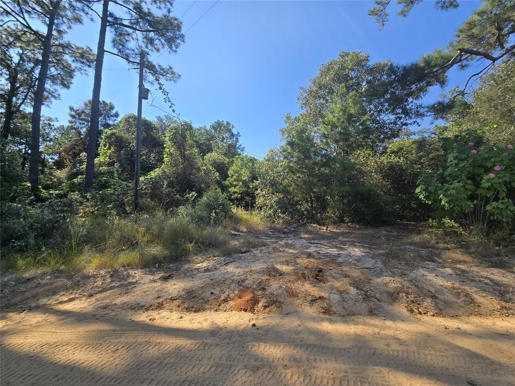 R57117 County Road 3325, Colmesneil, Texas image 8