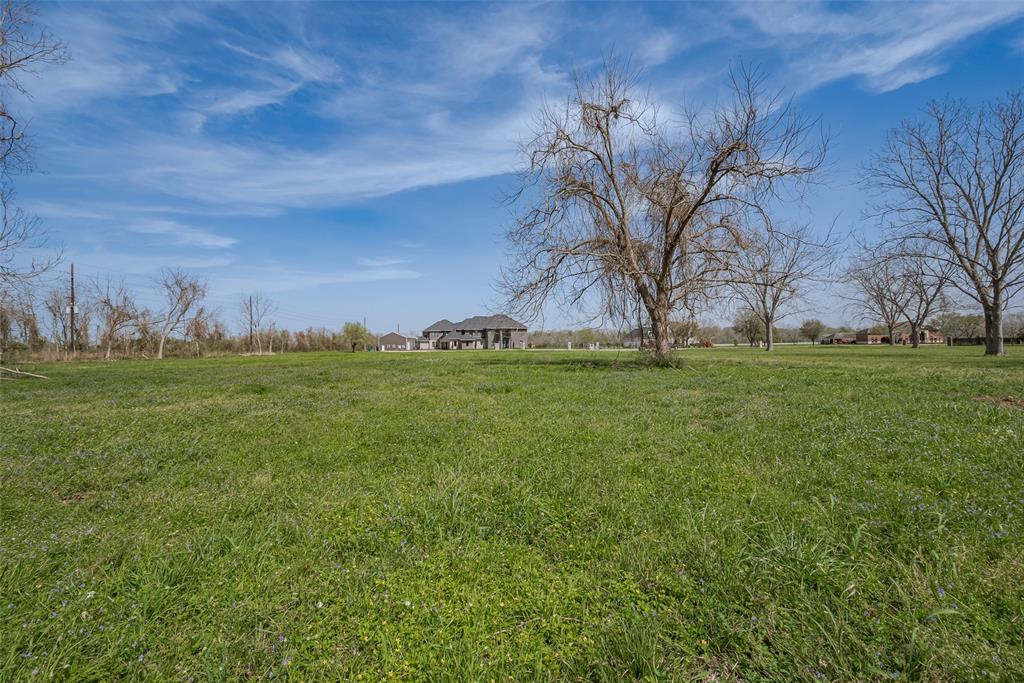 7804 Sweetbrook Circle, Missouri City, Texas image 6