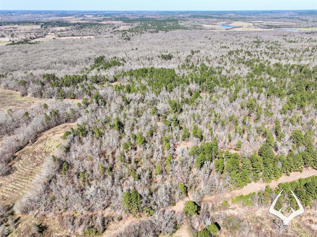 TBD County Road 435 D, Laneville, Texas image 19
