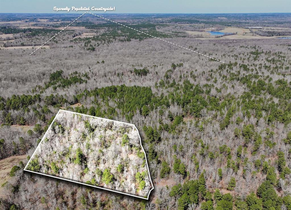 TBD County Road 435 D, Laneville, Texas image 2