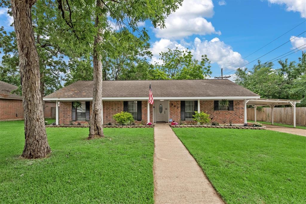227 Oak Hollow Street, Conroe, Texas image 1