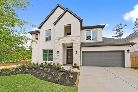 130 Mockingbird Trails Drive Willis TX 77318