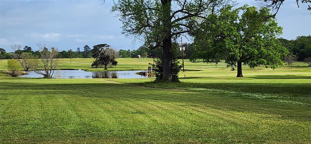 Lot 06 Jamestown Road, Trinity, Texas image 5