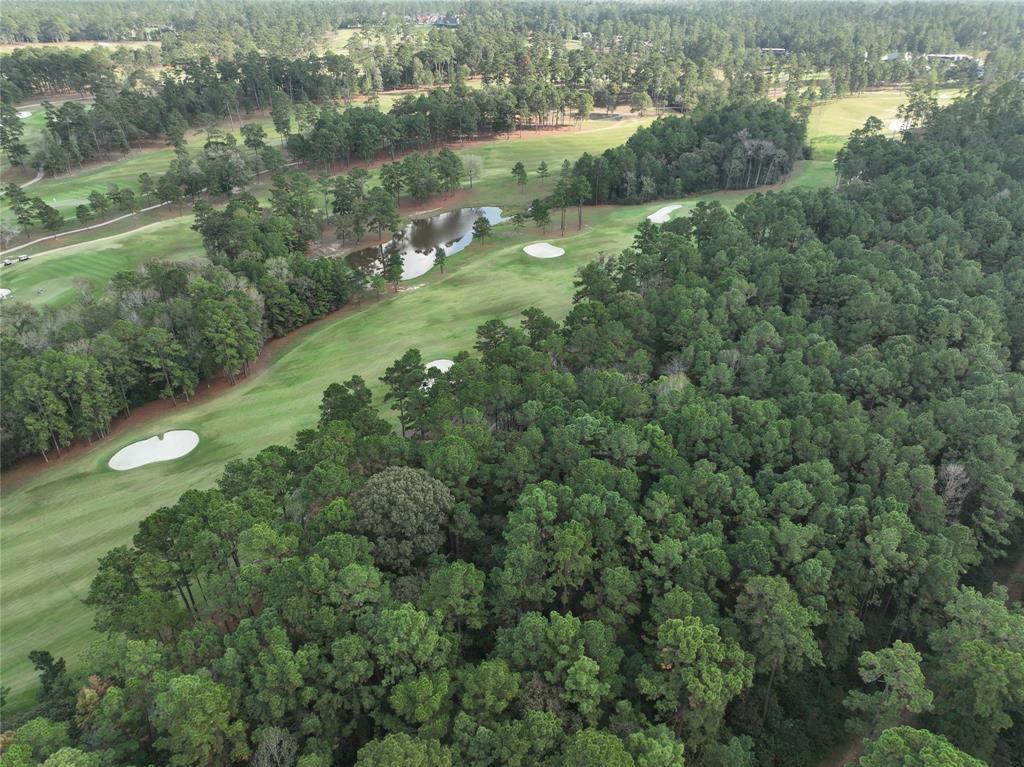 1 Augusta Drive, Montgomery, Texas image 11