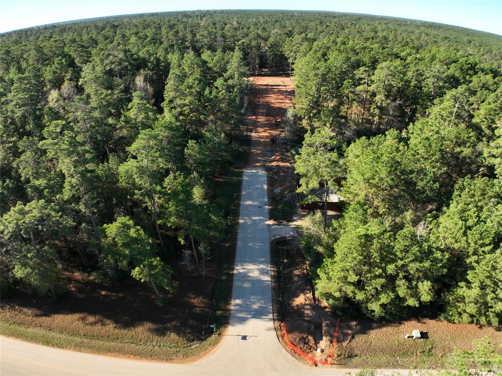 1 Augusta Drive, Montgomery, Texas image 12