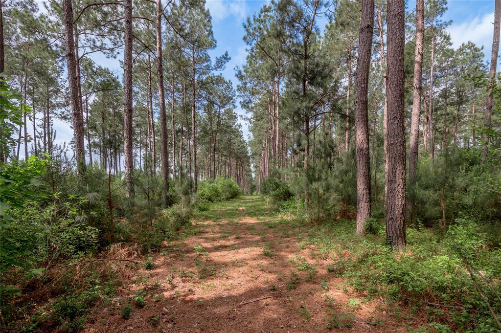 4785 Us-287, Crockett, Texas image 11