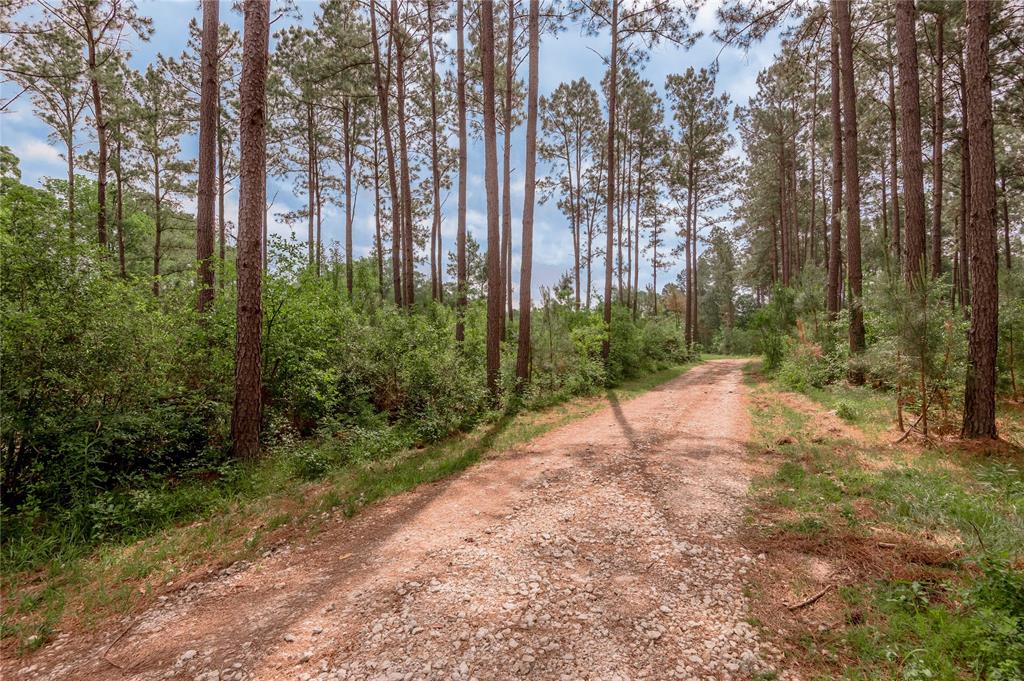 4785 Us-287, Crockett, Texas image 13