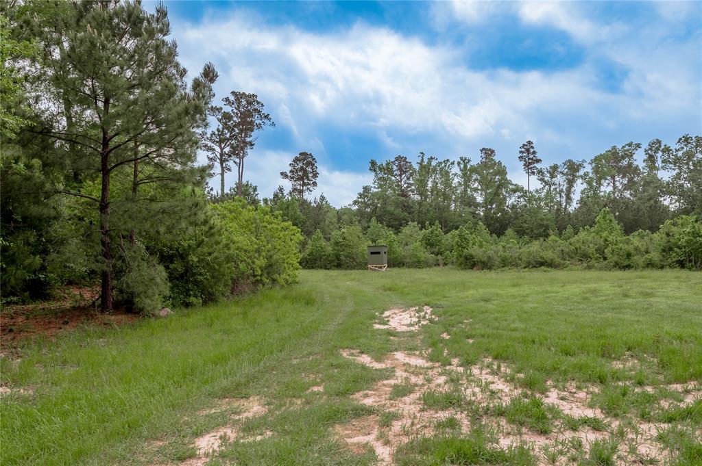 4785 Us-287, Crockett, Texas image 10
