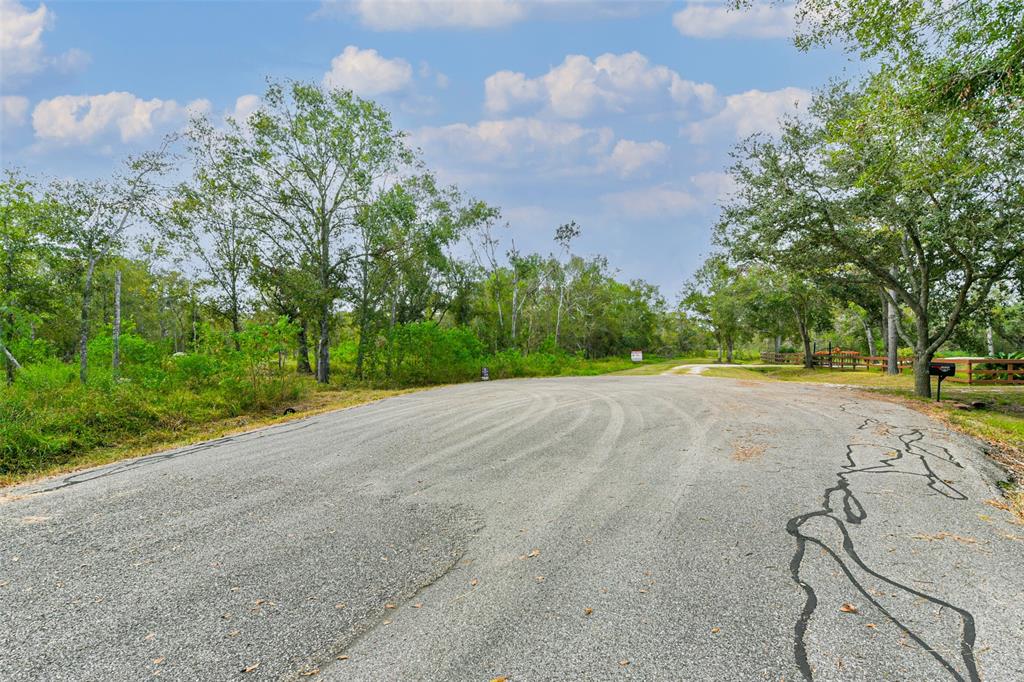 Live Oak St, Damon, Texas image 7